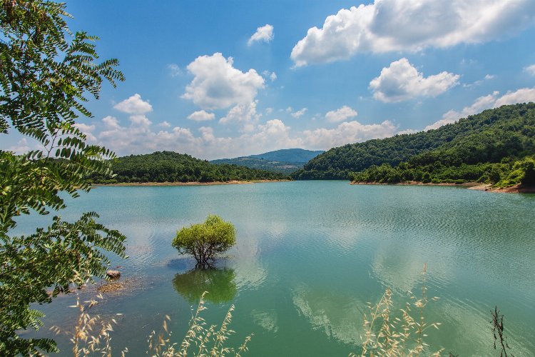 Yalova Gökçe Barajı’ndan sevindirici haber