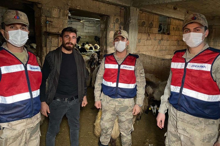 Adıyaman’da kaçırılan 160 koyun Gaziantep’te bulundu