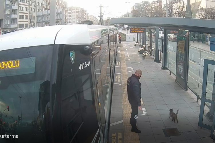 Kocaeli’nde güvenlik personelinin dikkati kediyi kurtardı