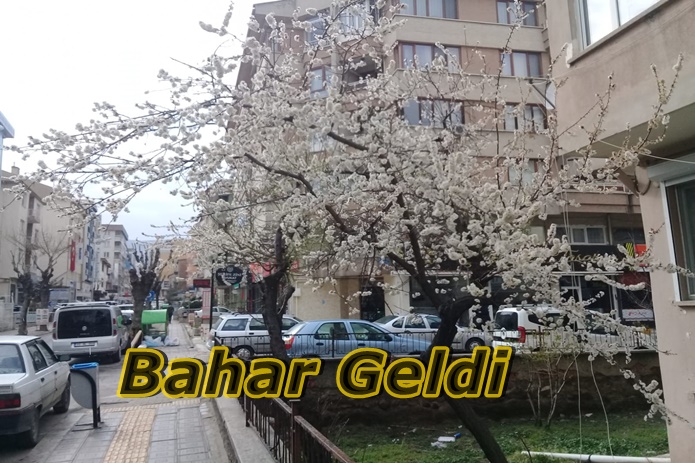 BAHAR GELDİ