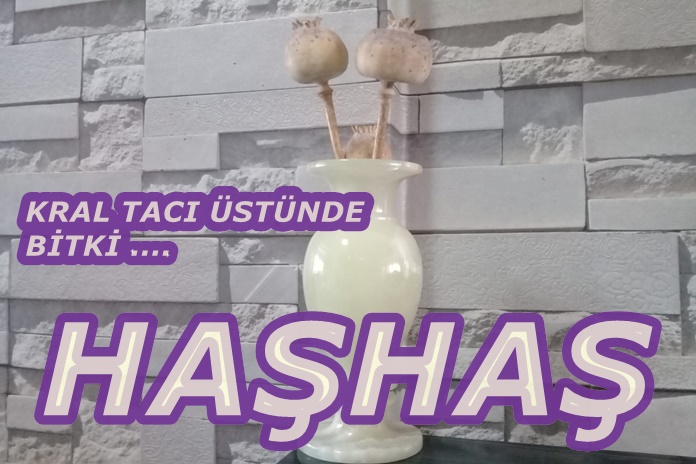 ONİX VE HAŞHAŞ DEĞERLİ HAZİNE