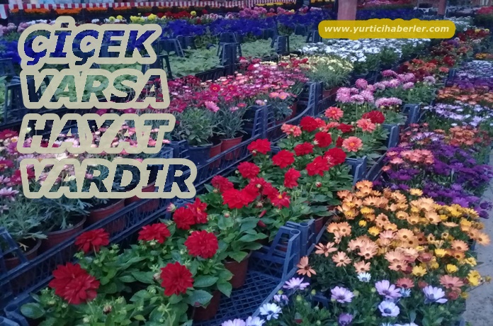 ÇİÇEK VARSA HAYAT VARDIR.