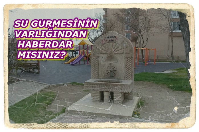 CANLILARIN VAR OLMASI İÇİN TEMEL TAŞ, SU