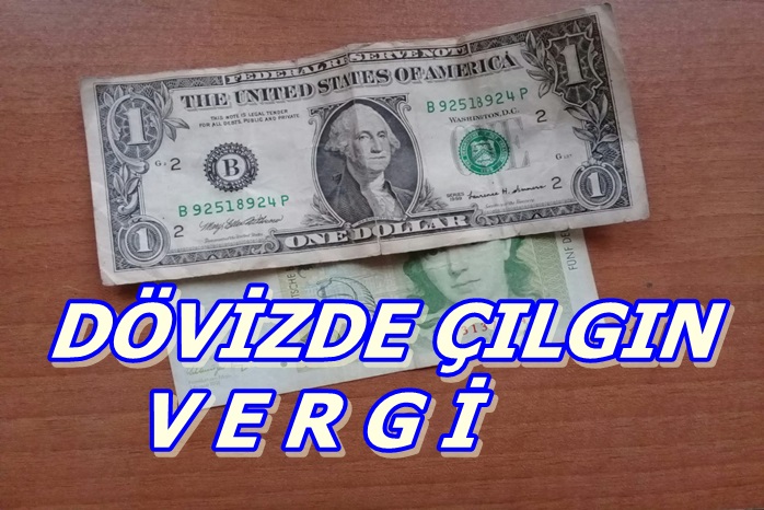 DÖVİZDE VERGİ KAZANDI