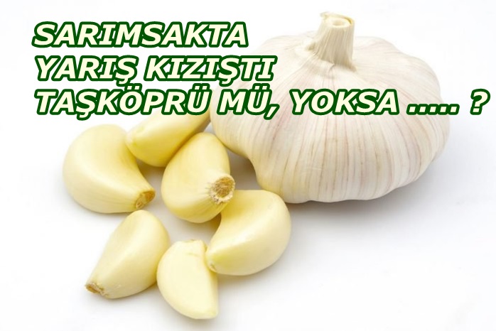 HERKES TAŞKÖPRÜ DEDİ; YANILDI