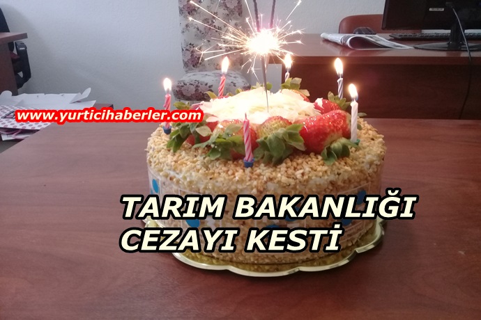 TAKLİT ve TAĞŞİŞE SIKI DENETİM