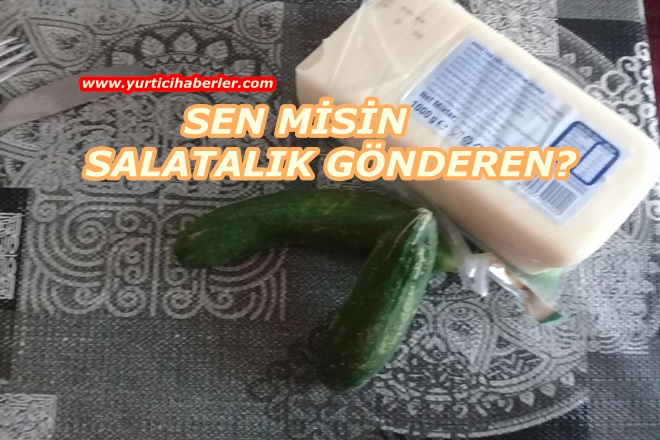 SEN MİSİN SALATALIK GÖNDEREN?