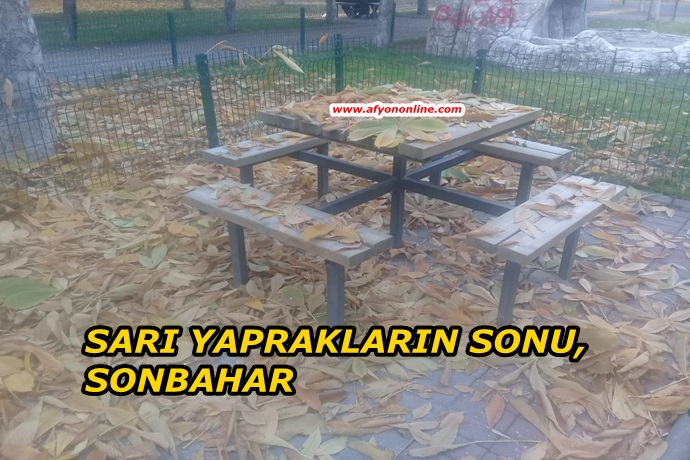 SARI YAPRAKLARIN FİNALİ, SONBAHAR