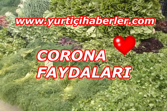 EVE HAPİS DOĞAYI KORUYOR