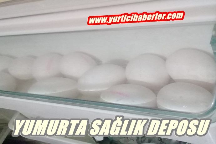 YUMURTA SAĞLIKLI MI ?  YOKSA …