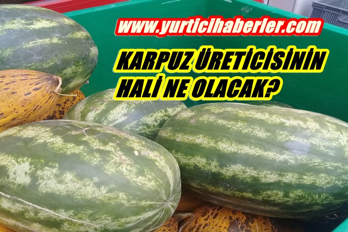 KARPUZ ÜRETİCİSİNİN HALİ NE OLACAK?