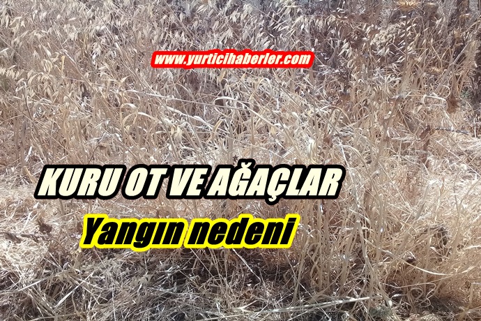 KURU OT VE AĞAÇLAR YANGIN NEDENİ