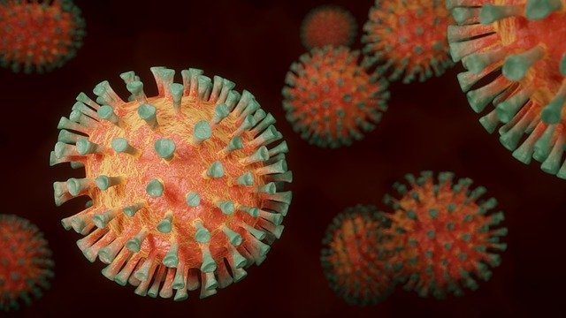 Maymun Çiçeği Test Kiti Geliştirildi