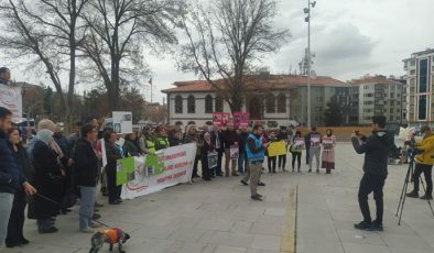 SOKAK HAYVANLARI SAHİPSİZ DEĞİLDİR