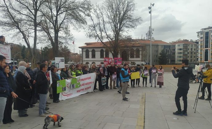 SOKAK HAYVANLARI SAHİPSİZ DEĞİLDİR