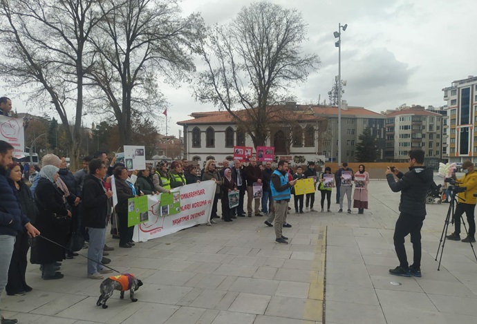 SOKAK HAYVANLARI SAHİPSİZ DEĞİLDİR