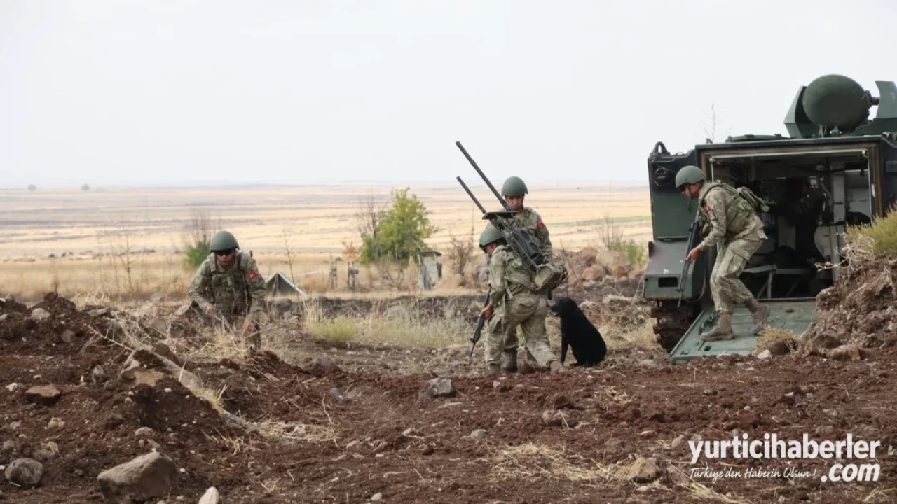 Mehmetçikten Nefes Kesen FAYBAT Tatbikatı: 1'inci ve 2'nci Ordu Birliklerinden Gövde Gösterisi - Detay Görsel 4