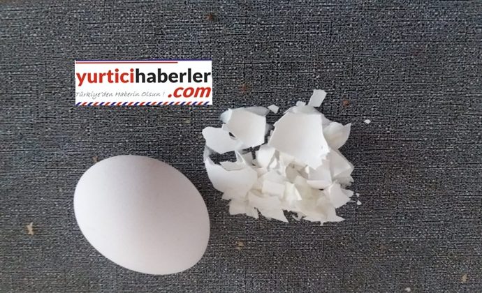 YUMURTA KABUĞU YENİ SEKTÖR OLUŞTURUYOR.