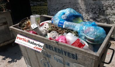 BUNLAR ÇÖP MÜ? 