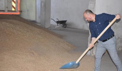ATA TOHUMLARINA SAHİP ÇIKAN BELEDİYE BAŞKANI