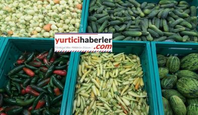 BULAŞIK MAKİNESİNDE TURŞU YAPIYORLAR?