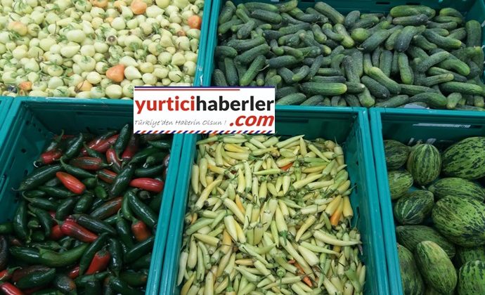 BULAŞIK MAKİNESİNDE TURŞU YAPIYORLAR?