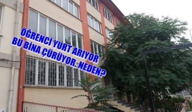 Yurtiçi