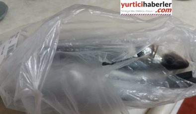 BALIKÇI POŞETİ DOĞAYI KİRLETMİYOR MU?