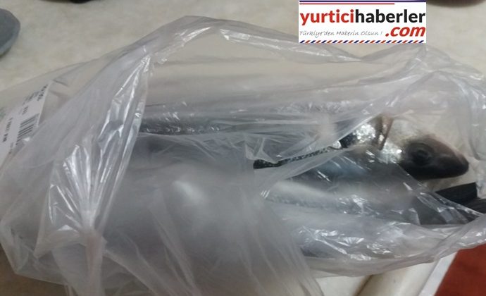 BALIKÇI POŞETİ DOĞAYI KİRLETMİYOR MU?