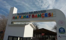 SANDIKLI HAYVANAT BAHÇESİ İLGİ BEKLİYOR