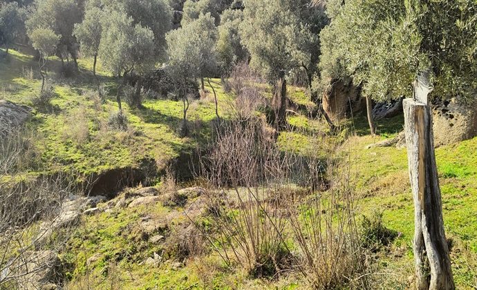 EGE’YE KAÇIŞ İÇİN EŞSİZ FIRSAT