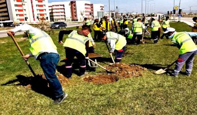 AFYON ZAFER LIONS KULÜBÜ 100. YILDA 100 AĞAÇ DİKTİ
