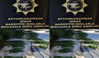 NARKOTİK POLİS DİNAR ORMANLIK ALANDA YAKALADI