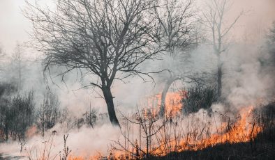 KAHRAMANMARAŞ TA HEM DEPREM HEM ORMAN YANGINI