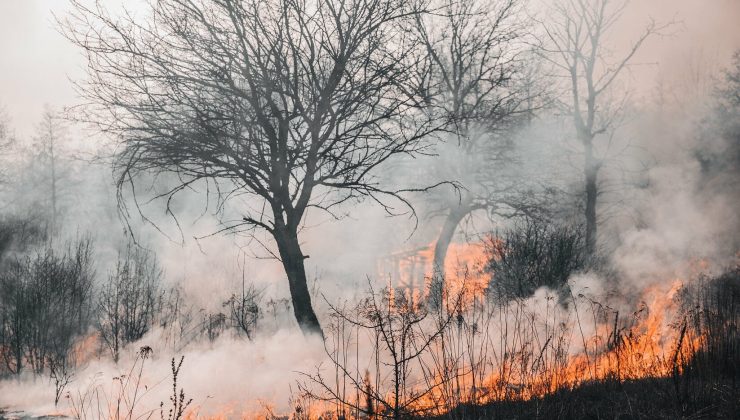 KAHRAMANMARAŞ TA HEM DEPREM HEM ORMAN YANGINI