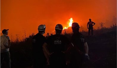 AFYON ORMANLARINI DA YAKTILAR  