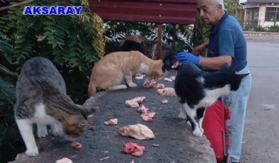 SOKAK HAYVANLARI DOSTU ADAMA ŞOK TEPKİ…