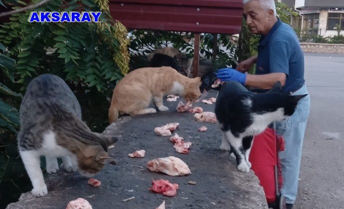 SOKAK HAYVANLARI DOSTU ADAMA ŞOK TEPKİ…