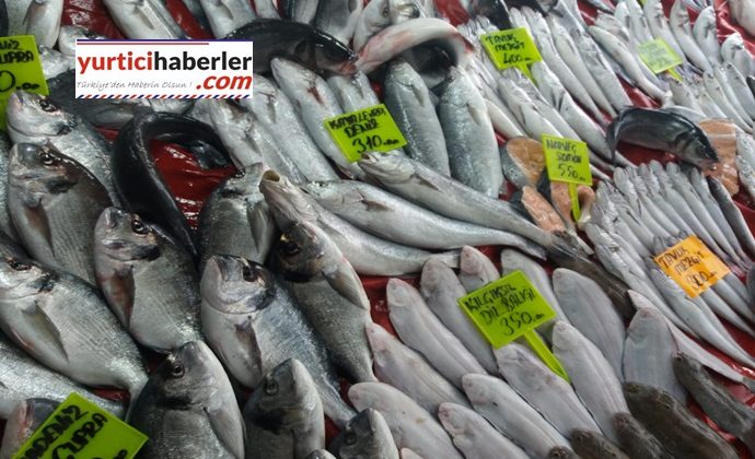 BU BALIK BİR BAŞKA KİLOSU 1,200 TL