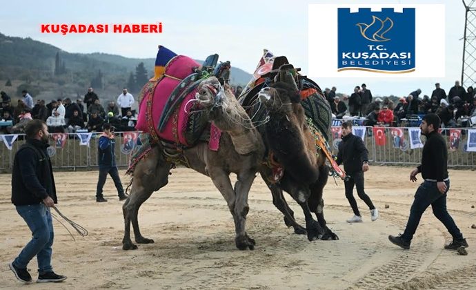 KUŞADASI DEVE GÜREŞİ FESTİVALİ RENKLİ GÖRÜNTÜLERE SAHNE OLDU