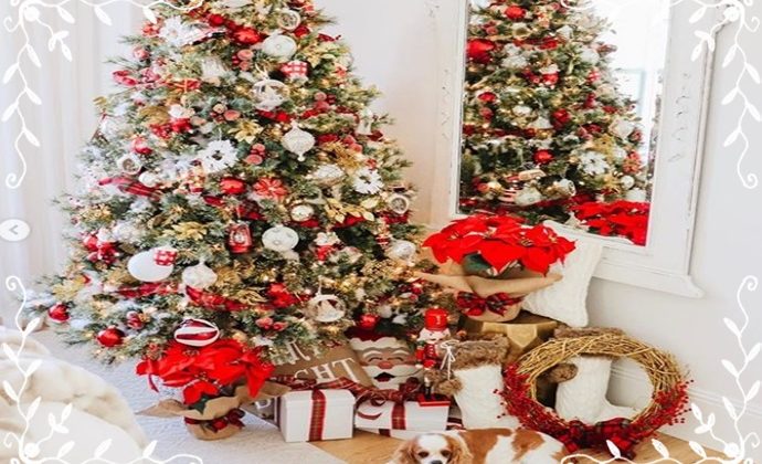 NOEL VE YILBAŞI AYNI MI?