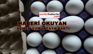 YUMURTA ÜZERİNDEKİ BARKODLAR NE ANLAMA GELİYOR?