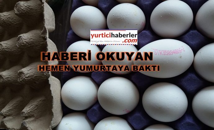 YUMURTA ÜZERİNDEKİ BARKODLAR NE ANLAMA GELİYOR?