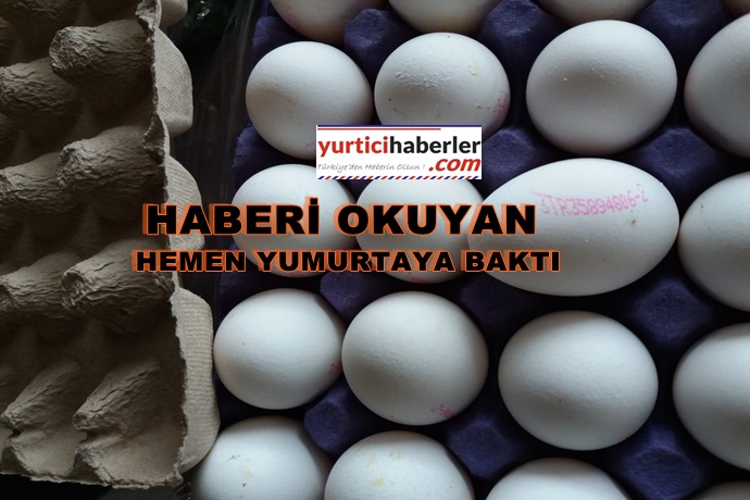 YUMURTA ÜZERİNDEKİ BARKODLAR NE ANLAMA GELİYOR?