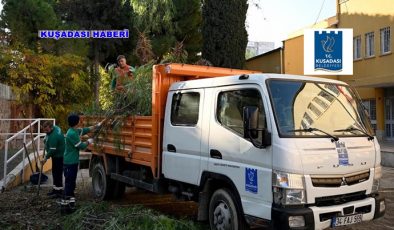 KUŞADASI’NDA BUDANAN AĞAÇLAR YUVALARI ISITIYOR.
