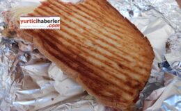 TURŞULU TOST OLUR MU?