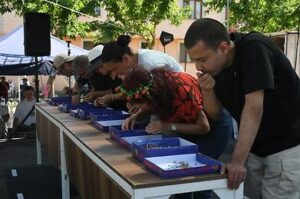 KUŞADASI’NDA ‘KİRAZ ŞENLİĞİ’ COŞKUYLA BAŞLADI