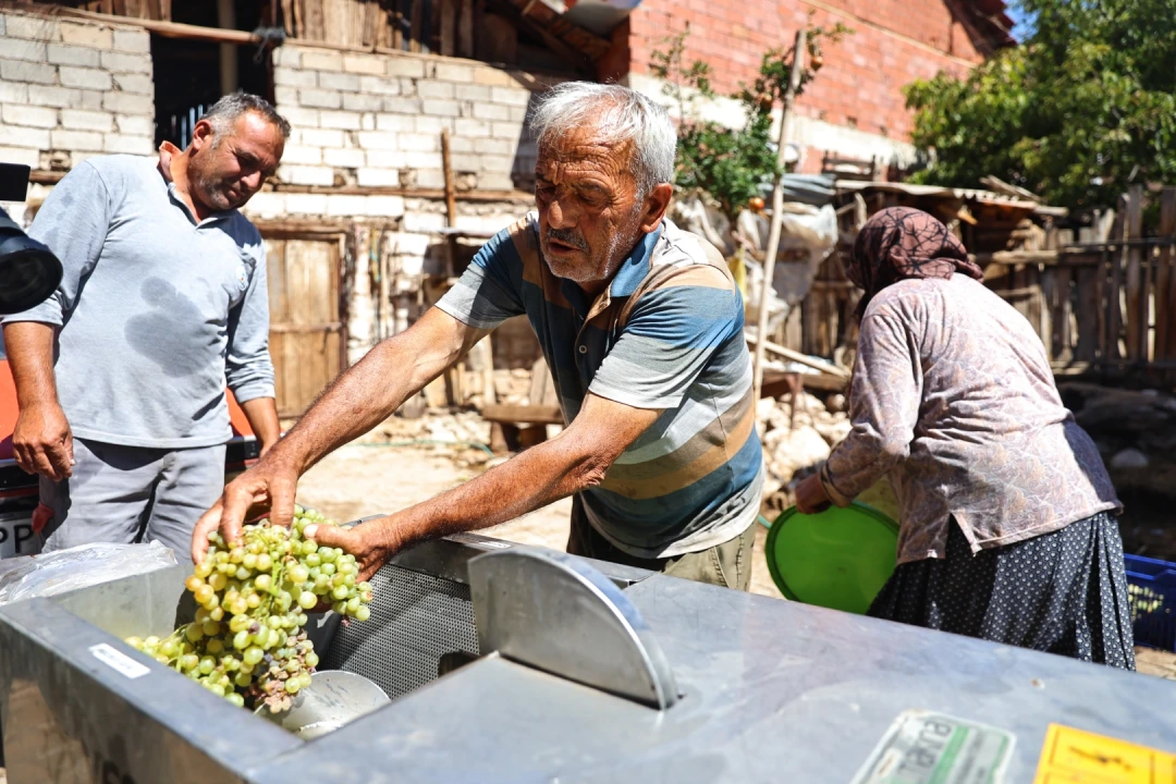 Antalya’da üzüm üreticilerine makine desteği