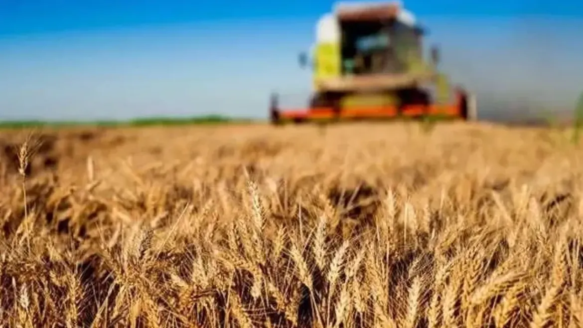Kırsala 12,5 milyar liralık dev hibe desteği