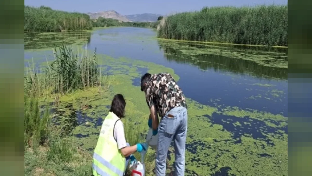 Gediz Nehri Kirlilik Raporu Yayınlandı: Yaz Aylarında Tehlikeli Artış Tespiti